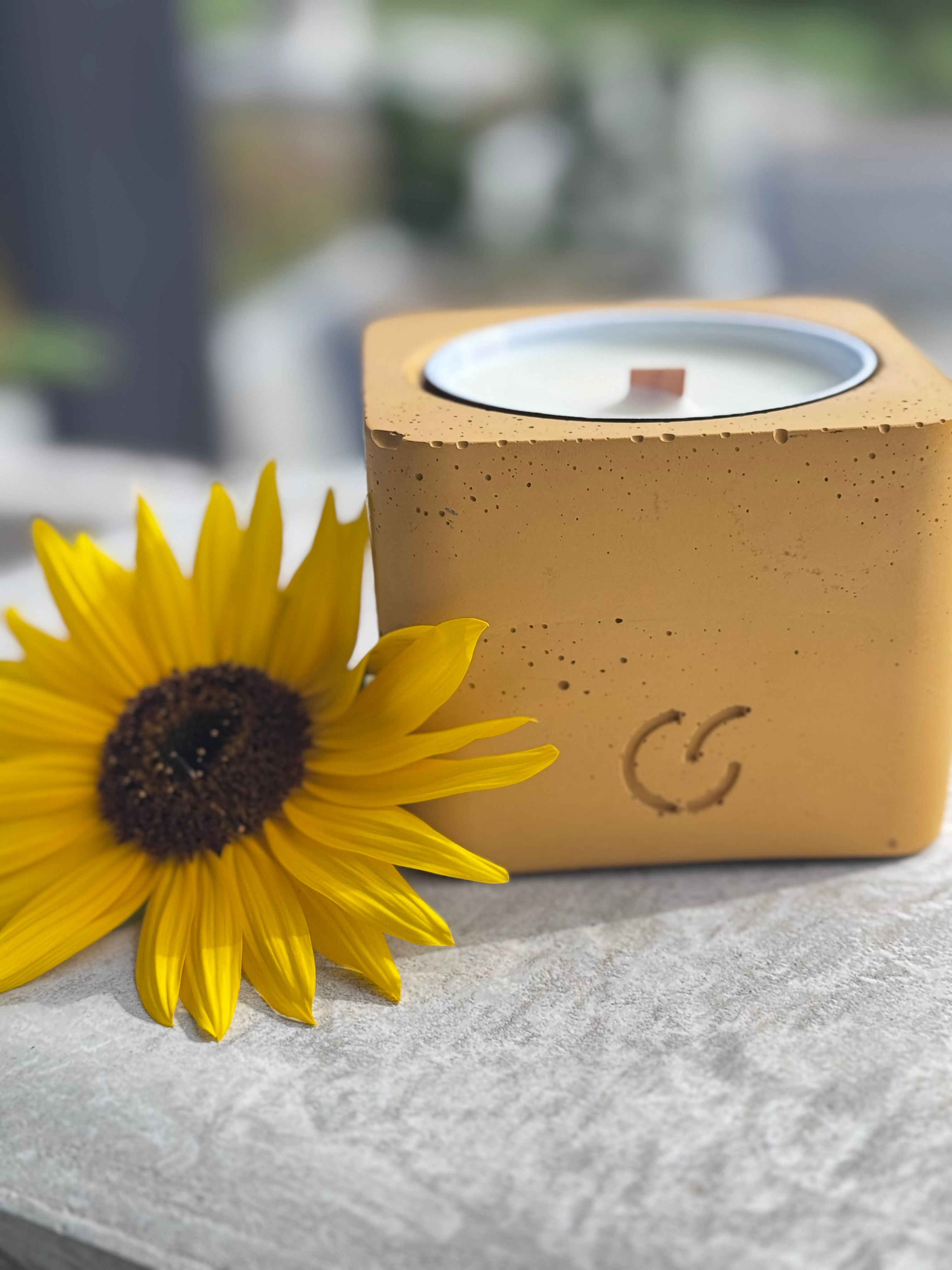 Nachhaltige Duftkerze mit Holzdocht